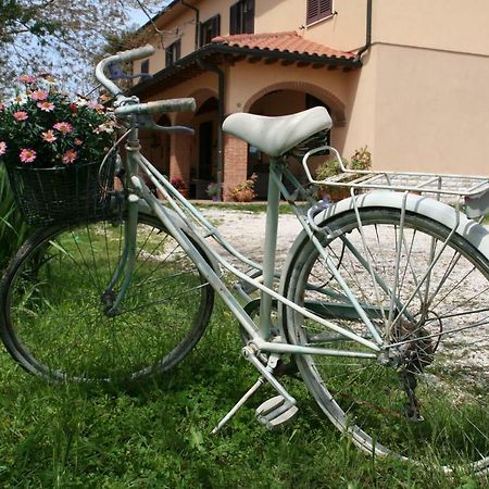 Agriturismo Diciocco Вентурина Экстерьер фото