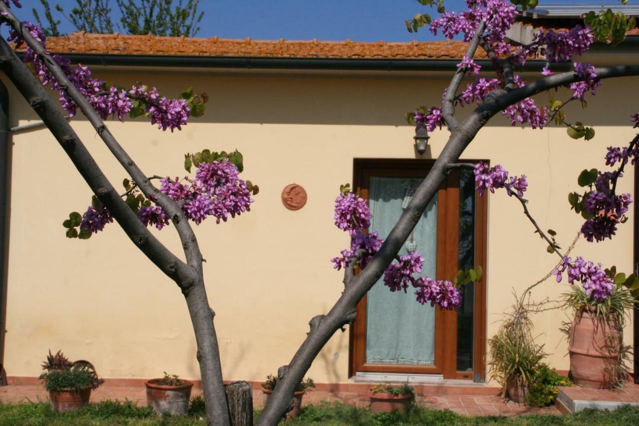 Agriturismo Diciocco Вентурина Экстерьер фото