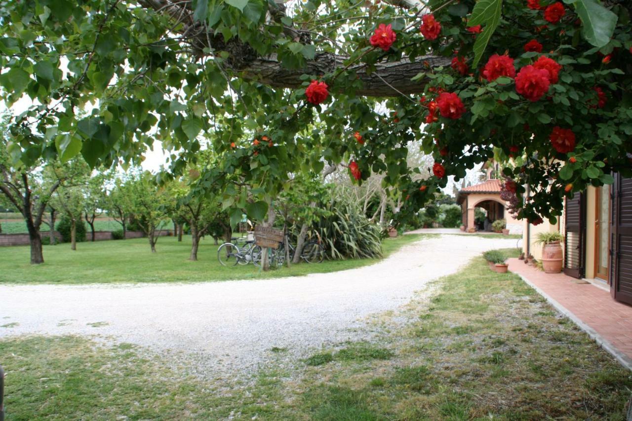 Agriturismo Diciocco Вентурина Экстерьер фото
